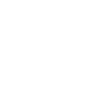 benson view typeface logo